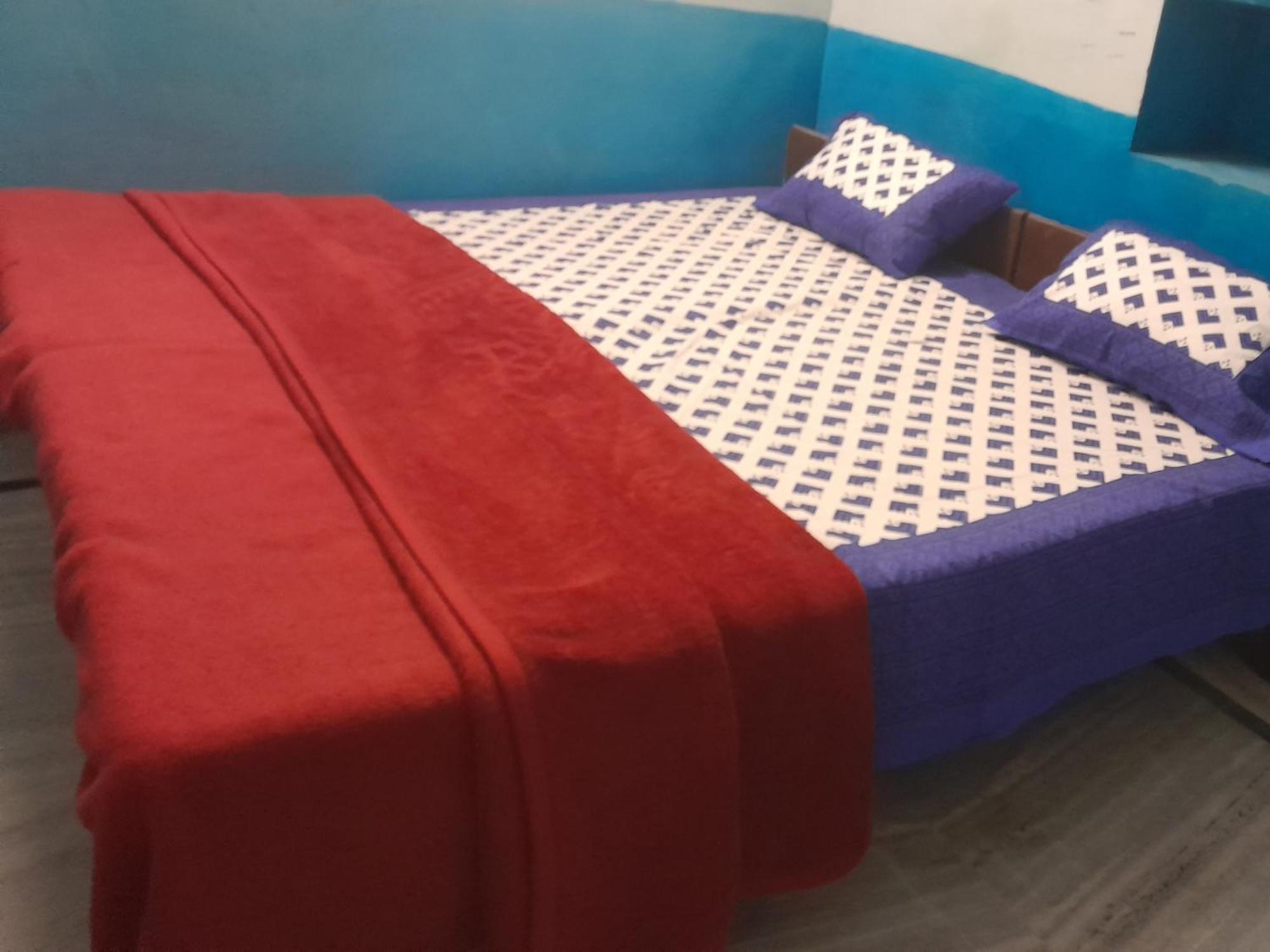 Hostel Monalisa Pushkar Room photo